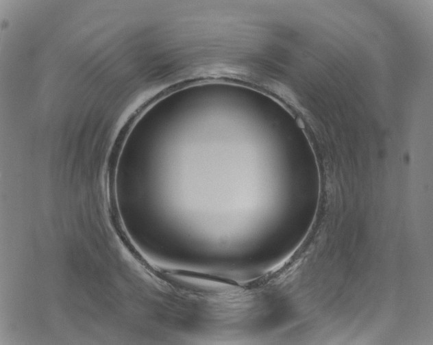 X0000074941032200609011110