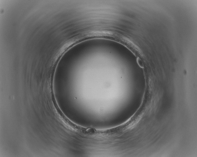 X0000074941033200609011110