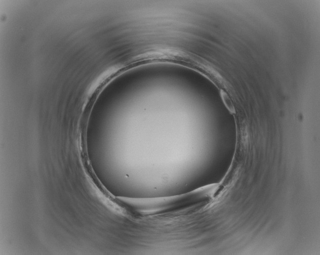 X0000074941034200609011110