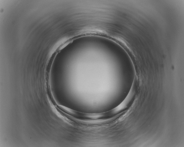 X0000074941038200609011110