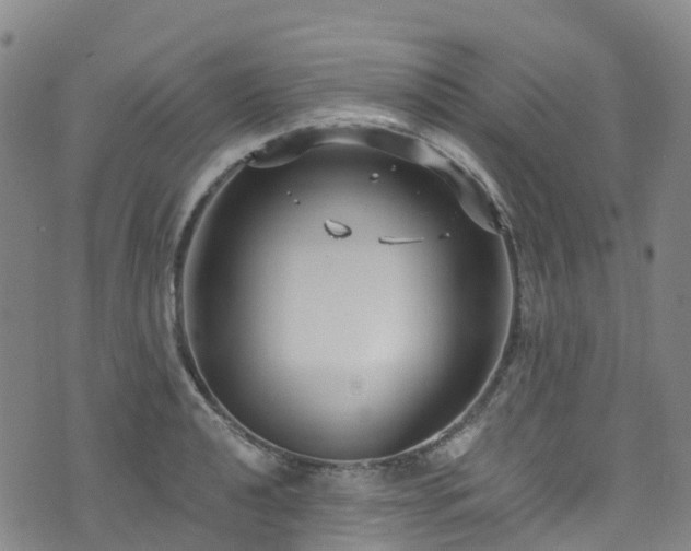 X0000074941040200609011110