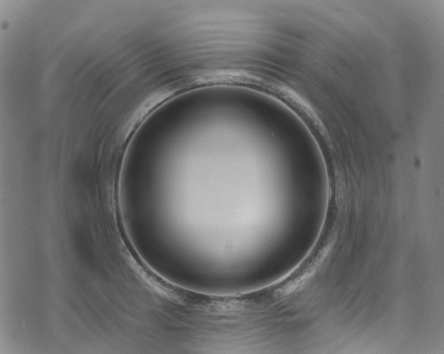 X0000074941041200609011110