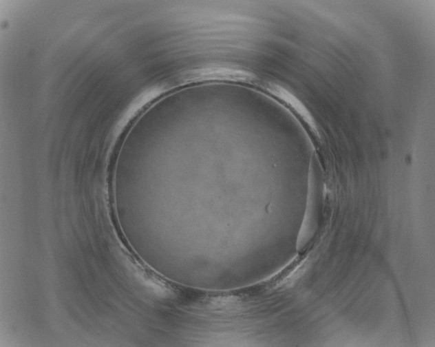 X0000074941043200609011110