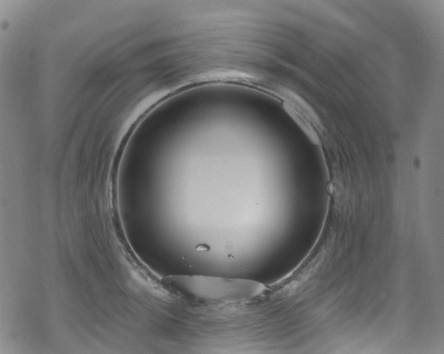 X0000074941044200609011111