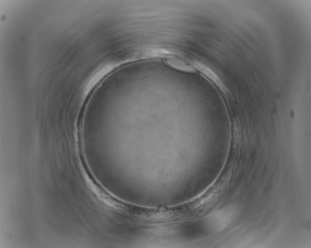 X0000074941047200609011111