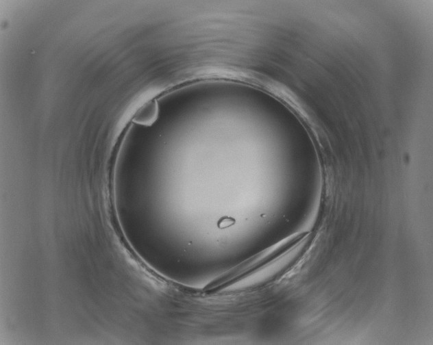 X0000074941048200609011111