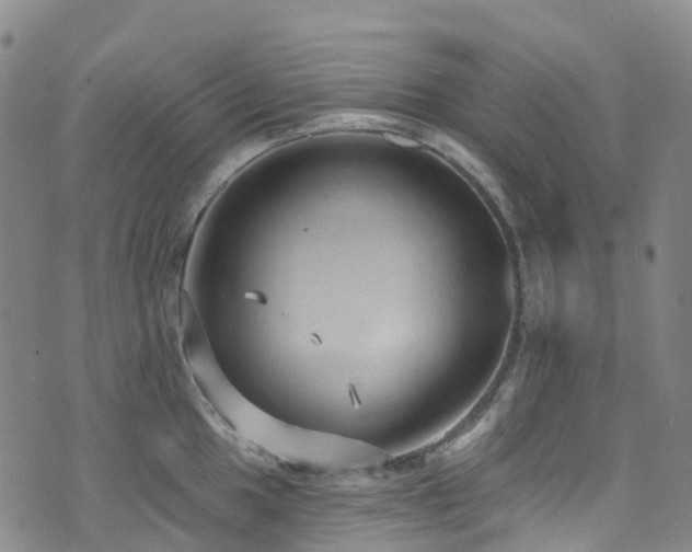 X0000074941049200609011111