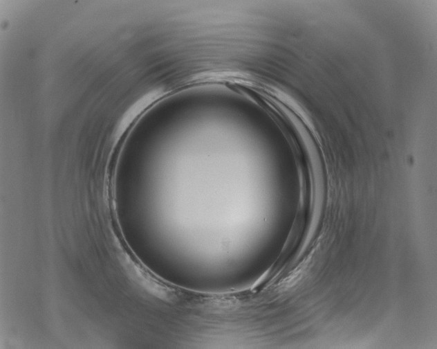 X0000074941050200609011111