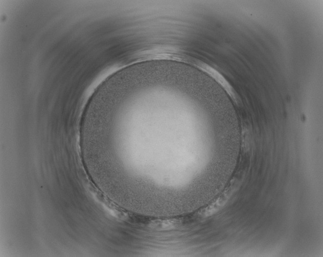 X0000074941051200609011111