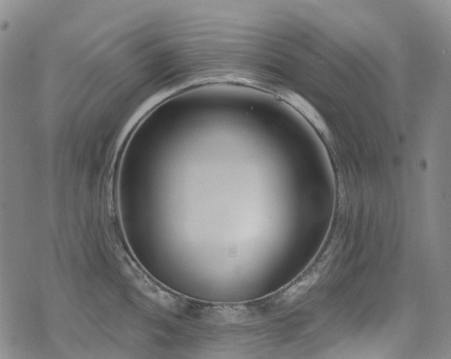 X0000074941052200609011111