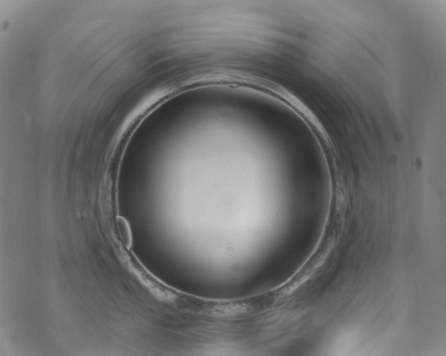 X0000074941053200609011111