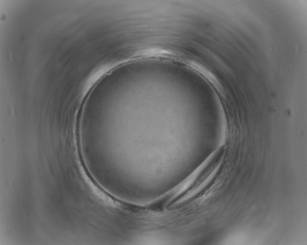 X0000074941055200609011111