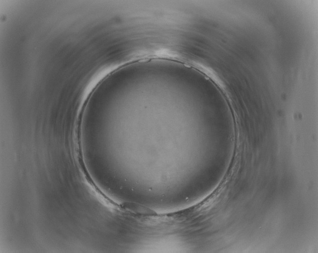 X0000074941056200609011111