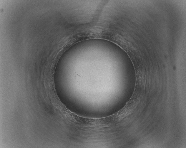 X0000074941057200609011110