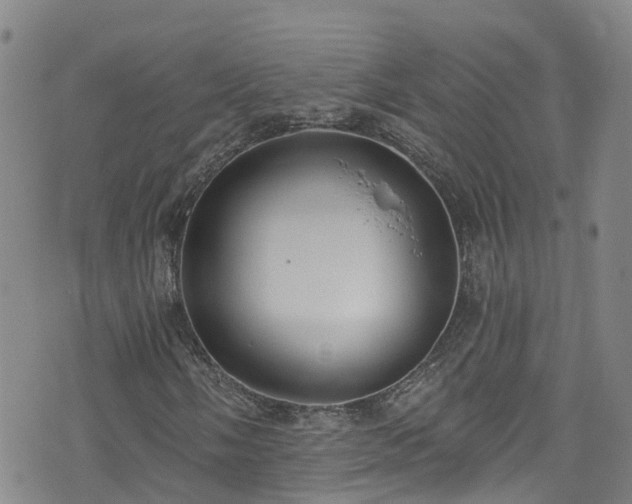 X0000074941058200609011110