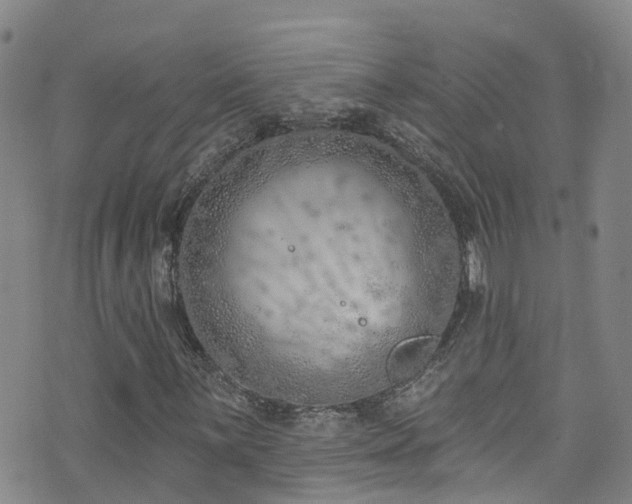 X0000074941059200609011110