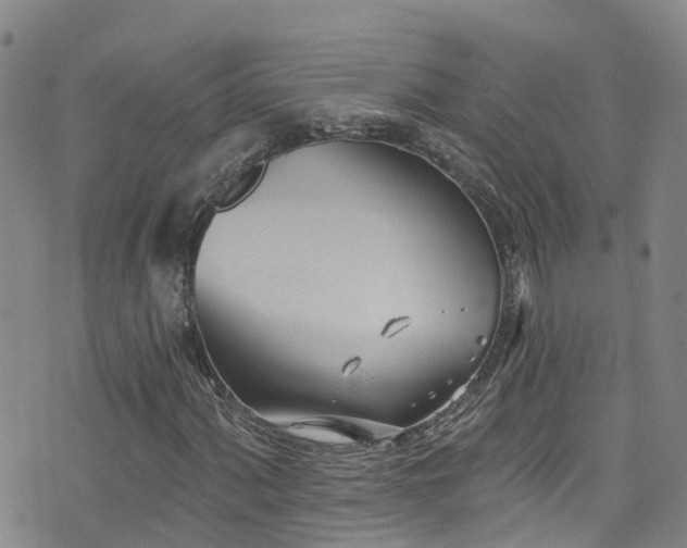 X0000074941060200609011110