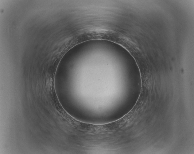 X0000074941061200609011110