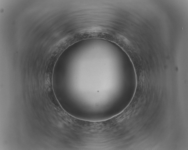 X0000074941062200609011110