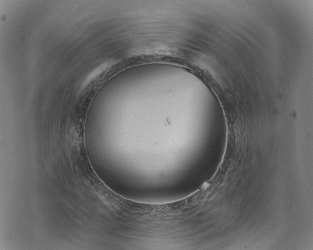 X0000074941064200609011110