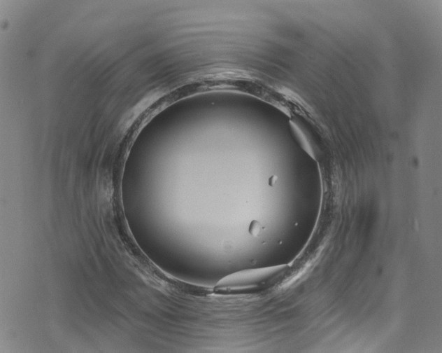 X0000074941065200609011110