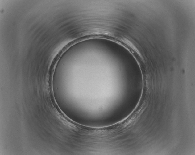 X0000074941068200609011110