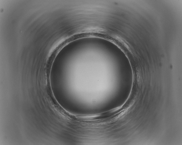 X0000074941069200609011110