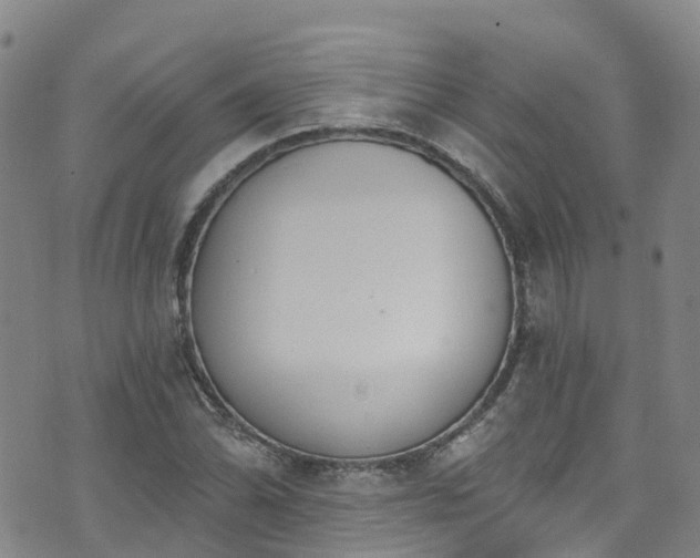 X0000074941070200609011110