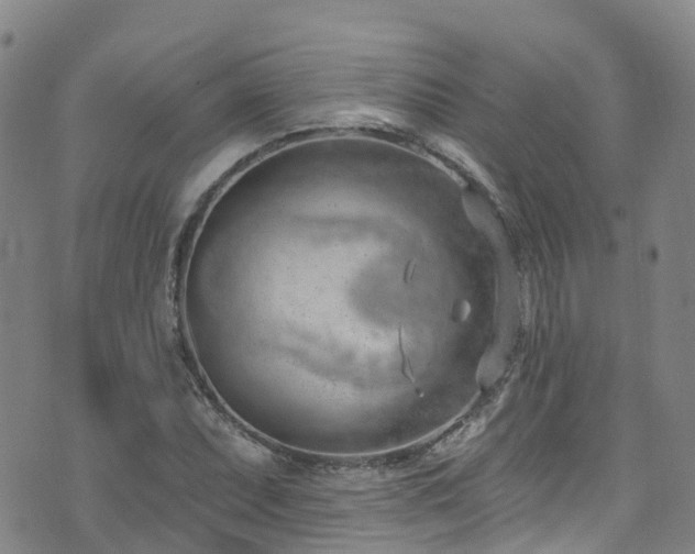 X0000074941071200609011110