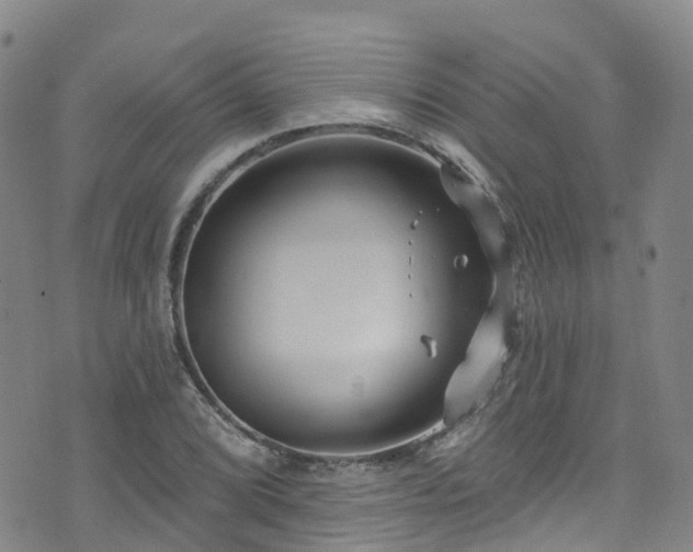 X0000074941072200609011110