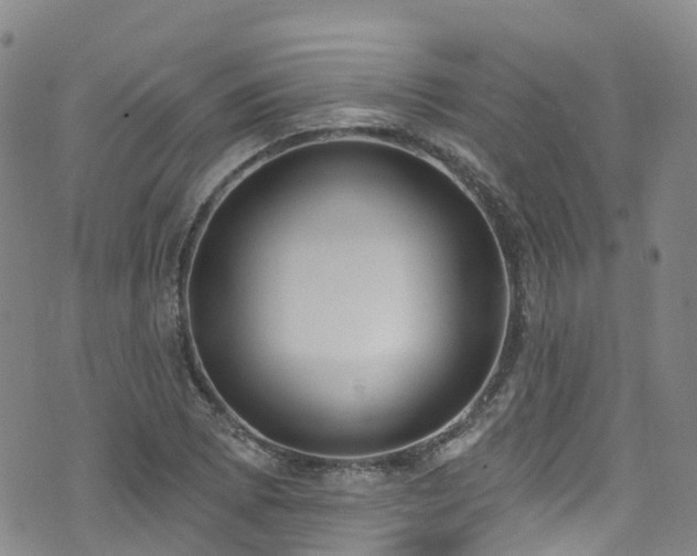 X0000074941073200609011110