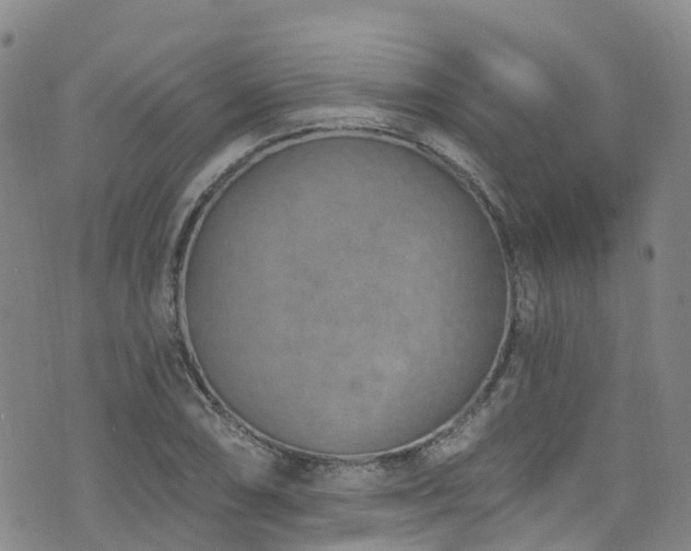 X0000074941074200609011110