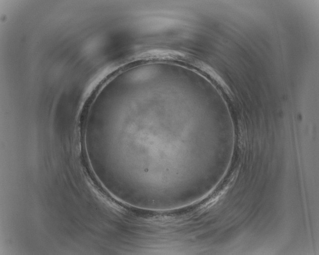 X0000074941075200609011110