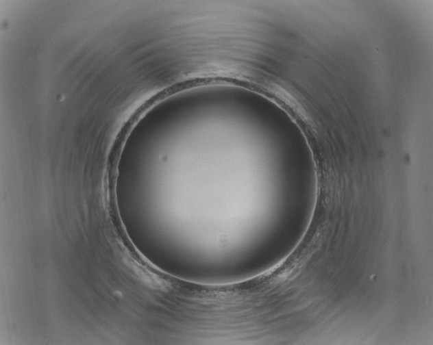 X0000074941076200609011110