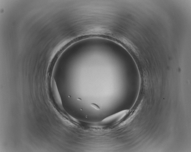 X0000074941077200609011110