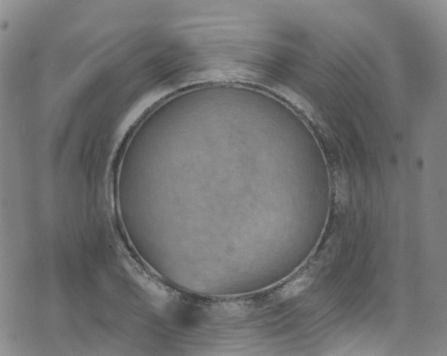 X0000074941078200609011110