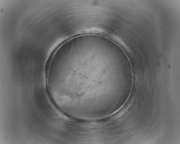 X0000074941079200609011110