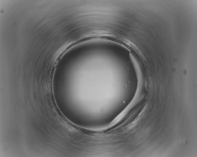 X0000074941081200609011110