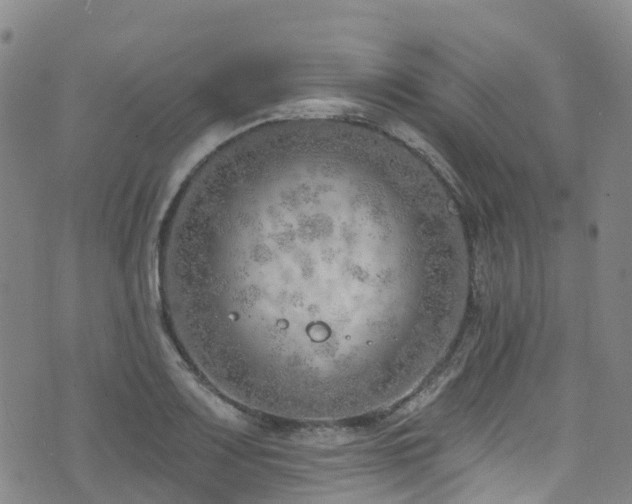 X0000074941083200609011109