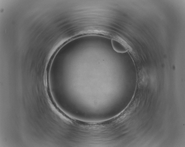 X0000074941084200609011109