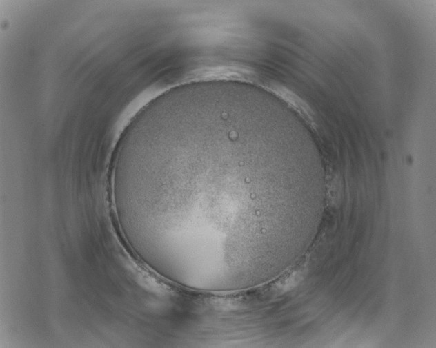 X0000074941086200609011109