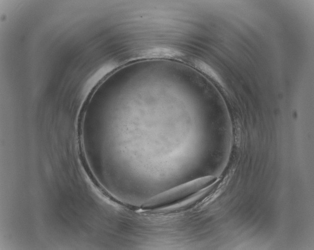 X0000074941087200609011109