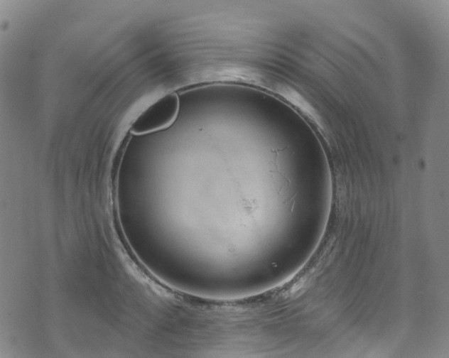 X0000074941088200609011109