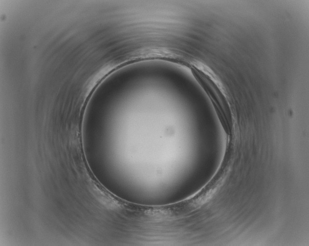 X0000074941089200609011109