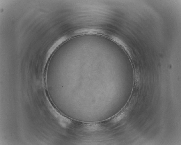 X0000074941090200609011109