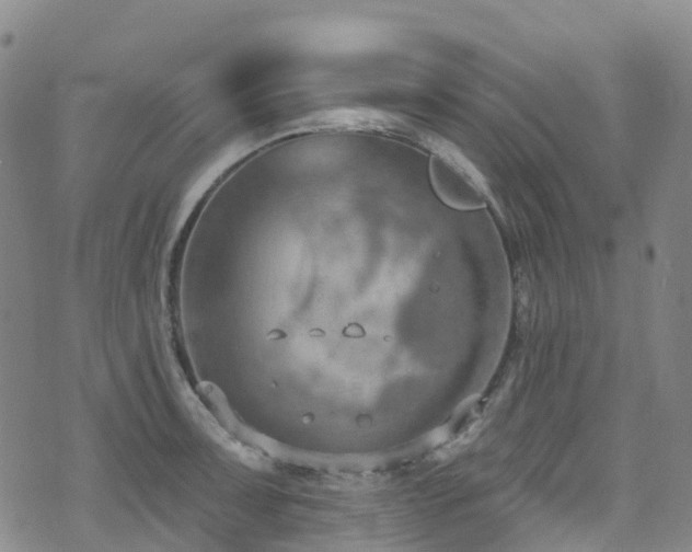 X0000074941091200609011109