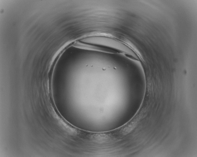 X0000074941092200609011109