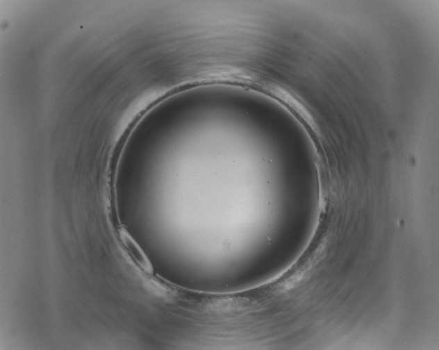 X0000074941093200609011109