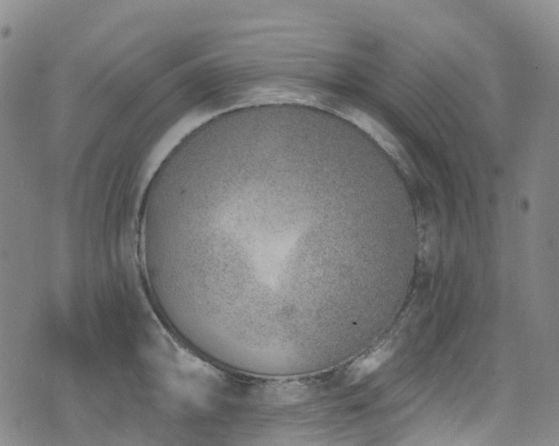 X0000074941094200609011109