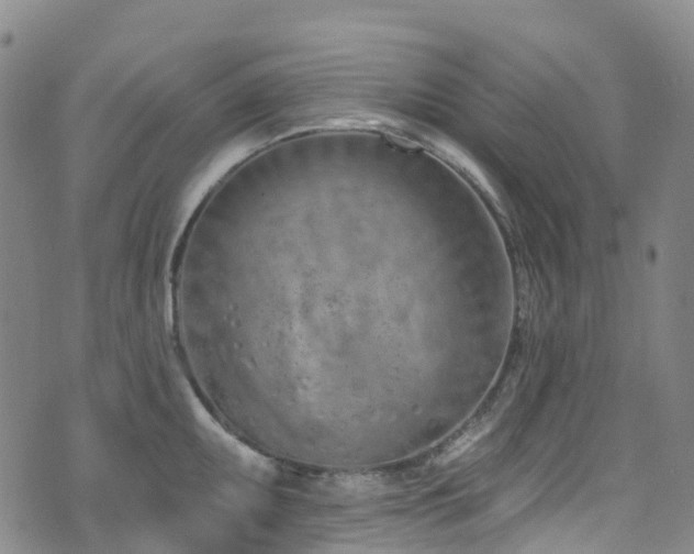 X0000074941095200609011109